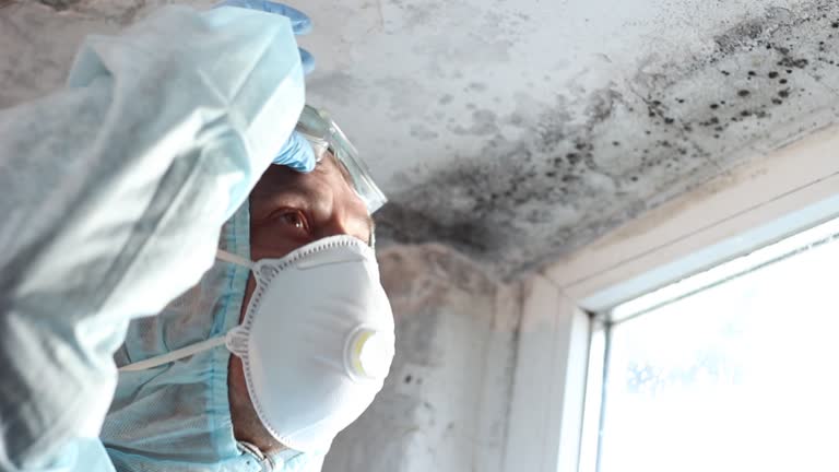 Best Mold Prevention Services  in South San Francisco, CA